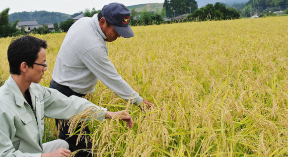 Start of contract production with local farmers